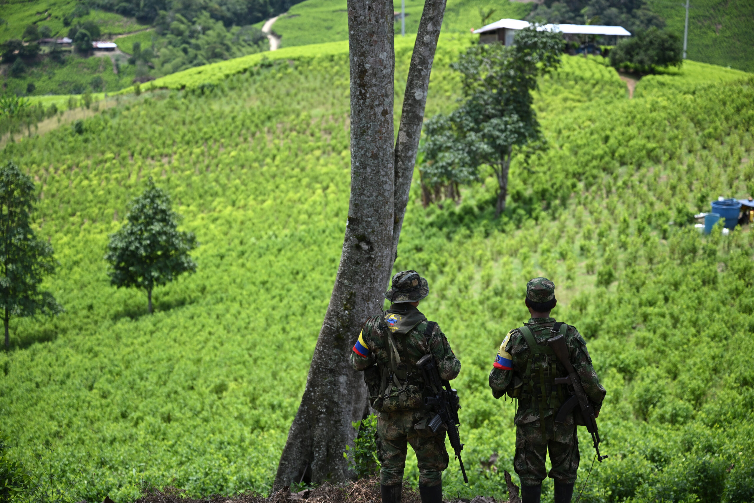 Colombia | Analysis of alleged threats to COP16